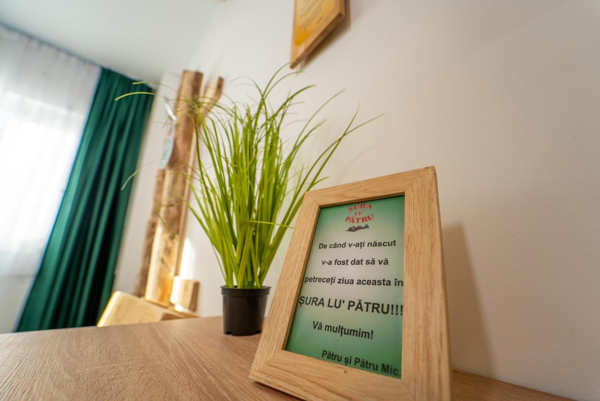 Sura Lu' Patru Apartment Vulcan  Ngoại thất bức ảnh